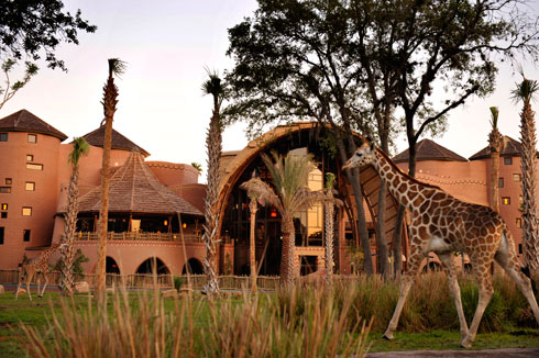 dvc_dakl_kv_001a.jpg