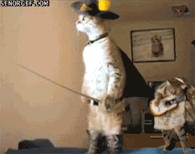 tumblr_lw9yygMiqC1r3gb3zo1_400.gif