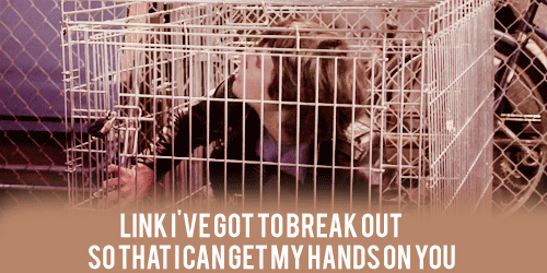 tumblr_lpookqbJfE1qeeagco2_500.gif