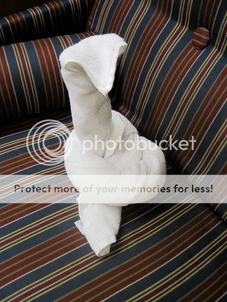 Towelsnake.jpg