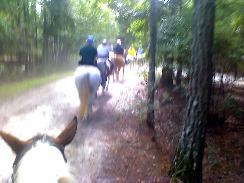 Horsey%20Ride.jpg