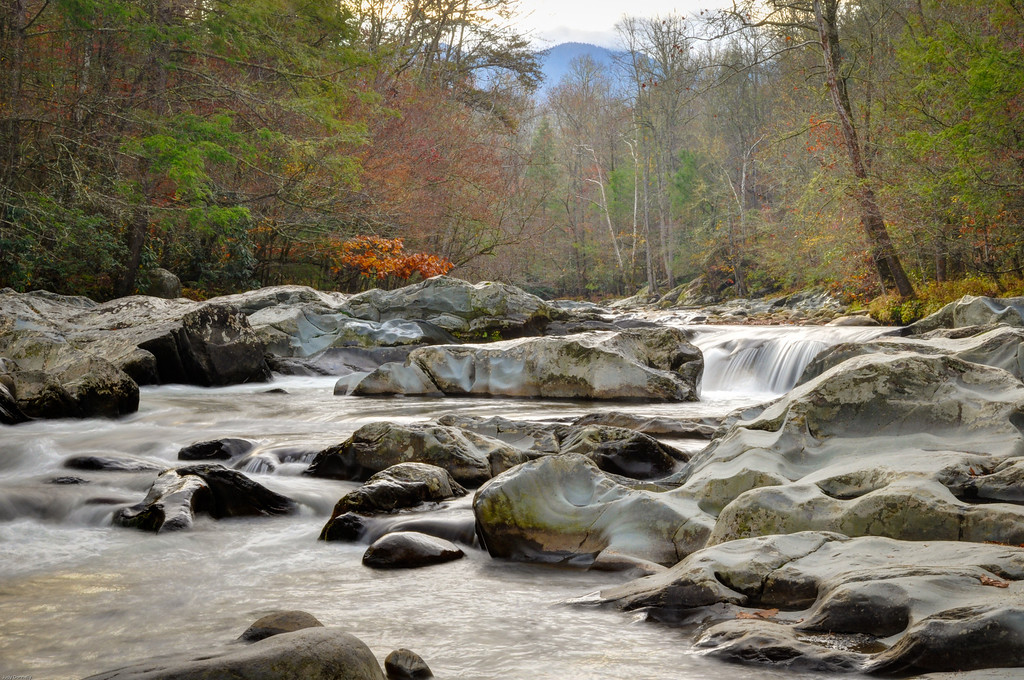 DSC_6851_2_3-XL.jpg