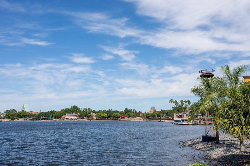 DSC_2431-L.jpg