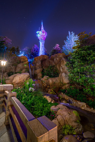 DSC_3779-L.jpg