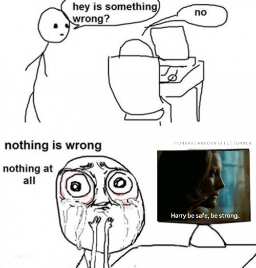 tumblr_lmxkg440NO1qiydtbo1_500.jpg