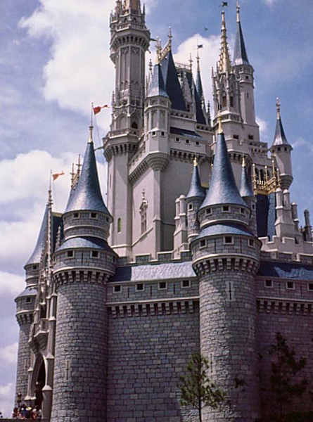 IMG0003-L.jpg