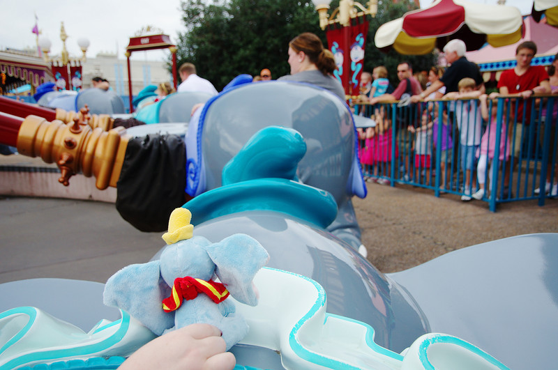 DSC7705-L.jpg
