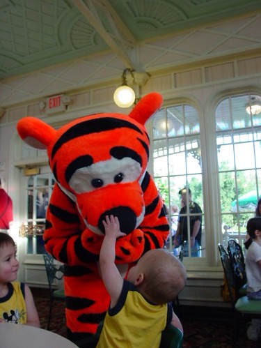 2198961612_e4f4585129.jpg