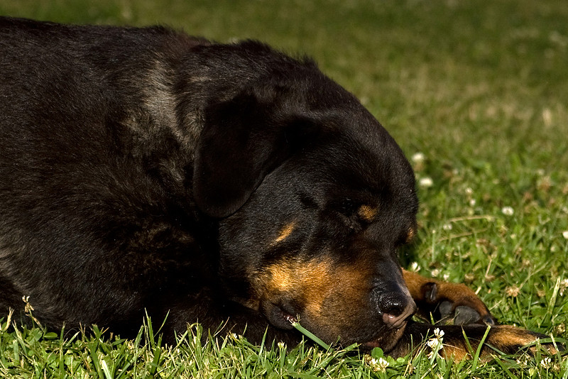 p245713073-4.jpg