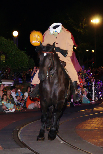 DSC6327-L.jpg