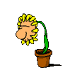 sleepflowert.gif