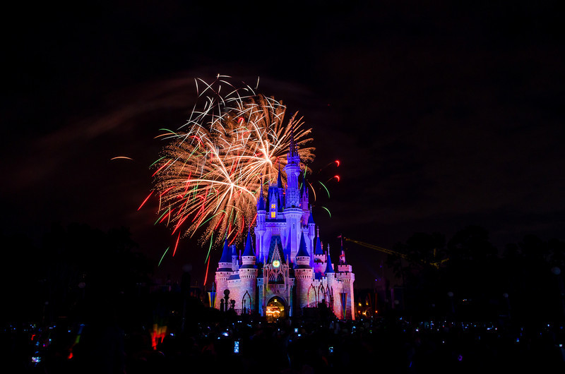 DSC1795-L.jpg