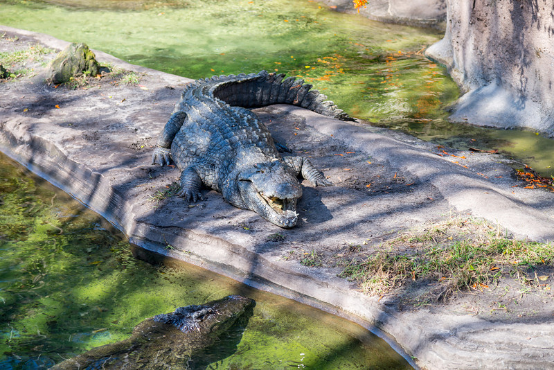 DSC_7907-L.jpg