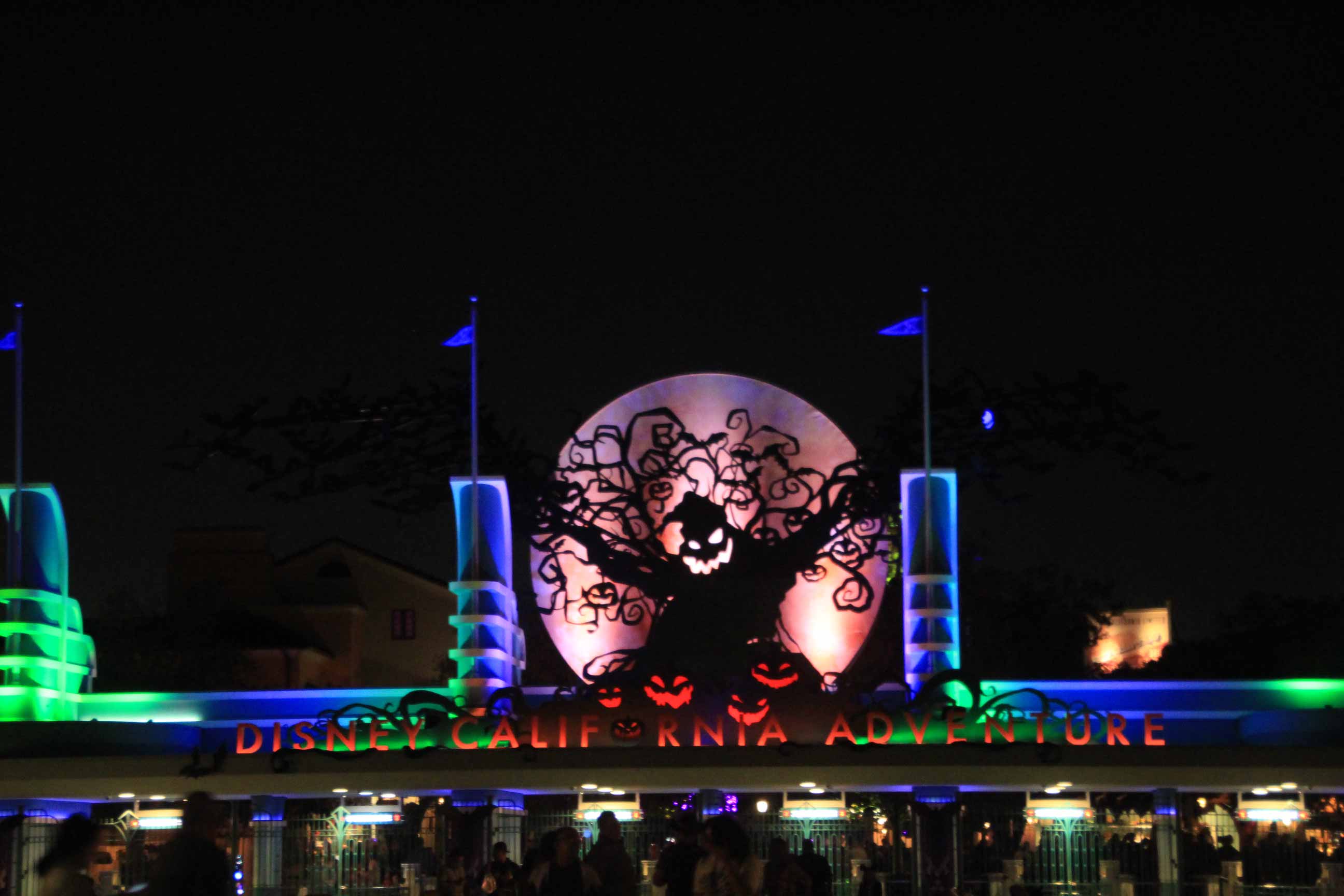 x17DL0917PJ21.jpg
