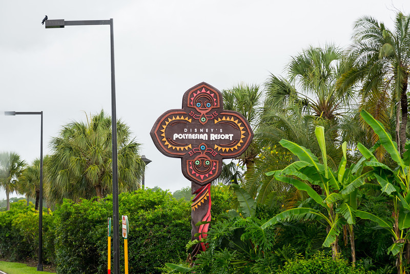 DSC_2080-L.jpg