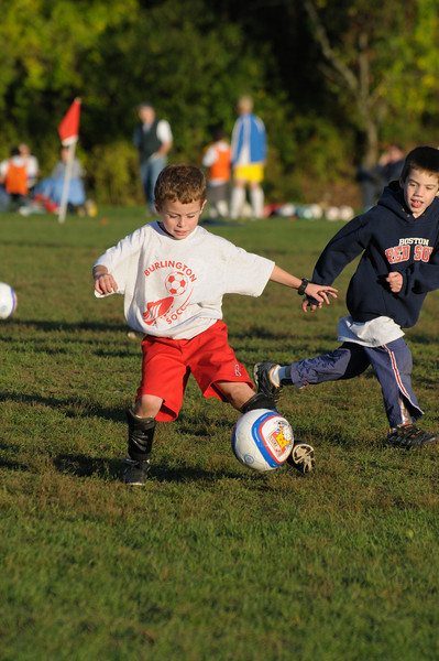 386517474_8YV97-L.jpg