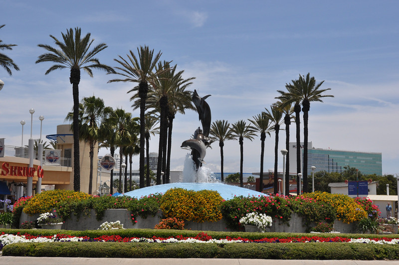 600386241_bgemH-L.jpg