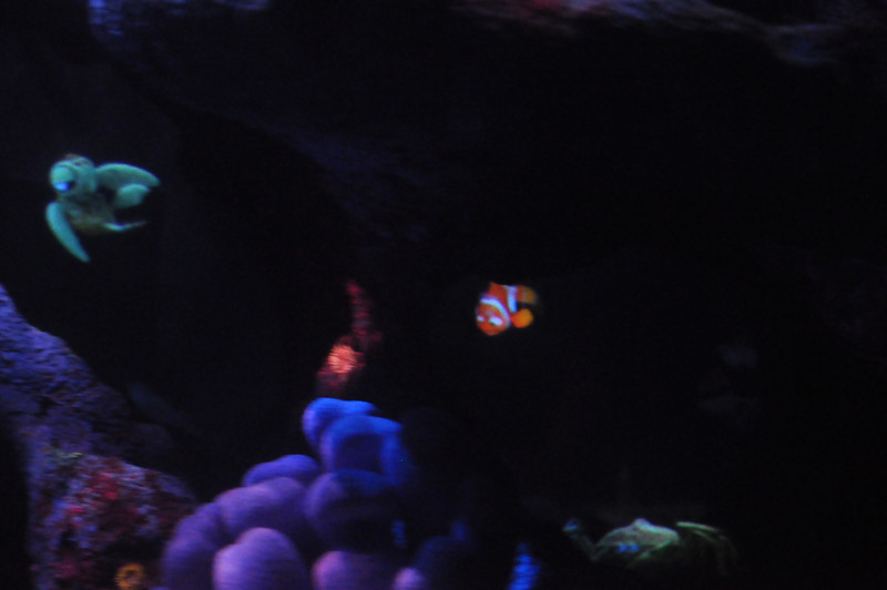 585395150_vXCCw-L.jpg