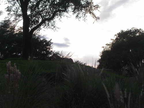 2577887841_05850b798c.jpg