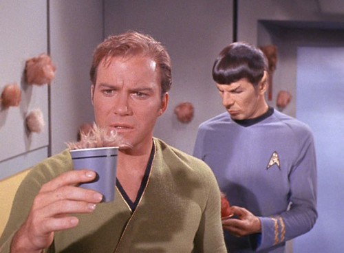 thetroublewithtribbles2-500x368.jpg