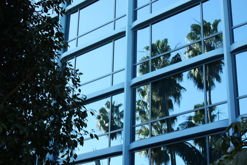 IMG9429-L.jpg