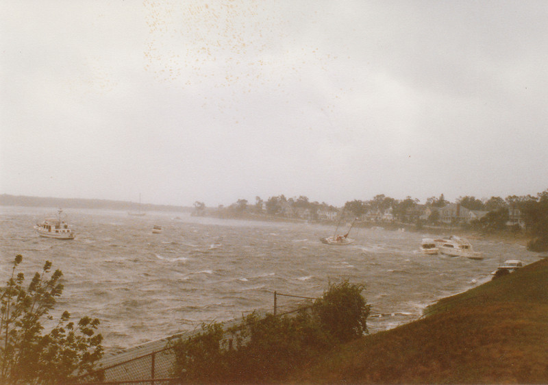 370623951_VGME7-L.jpg
