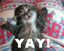 KittenSleepyYay.gif