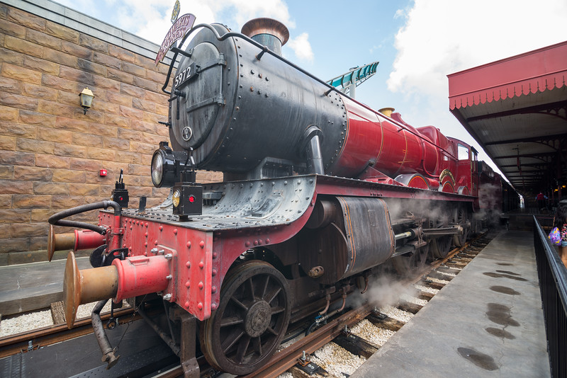 DSC_9812-L.jpg