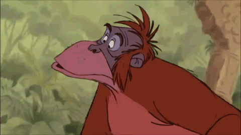 tumblr_l84monYjrO1qapyy7o1_500.gif