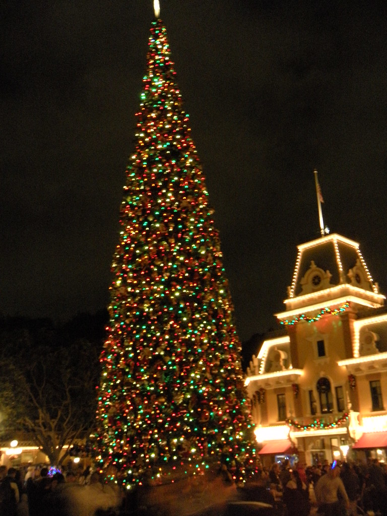 10658515053_e046b990ea_b.jpg