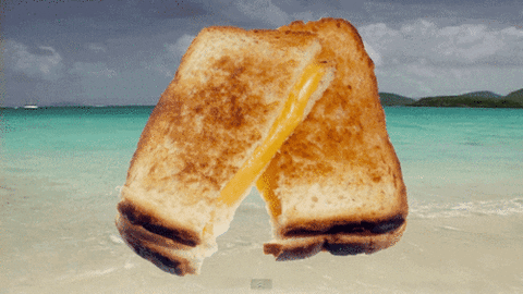giphy.gif
