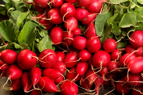 fresh-radishes.jpg