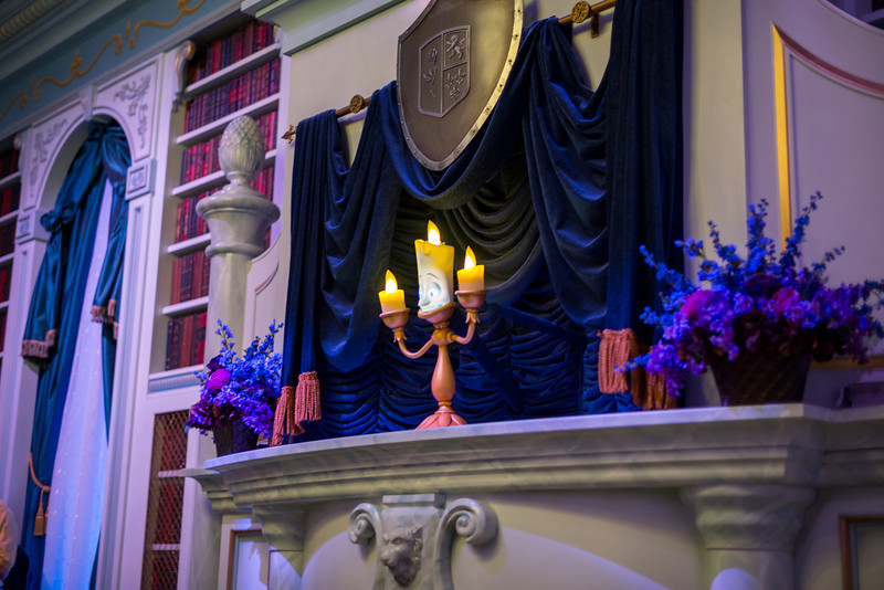DSC_6540-L.jpg