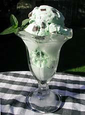 ice.cream.mint.choc.chip.jpg