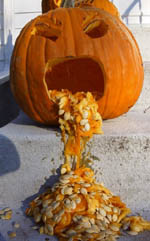 pumkin.jpg