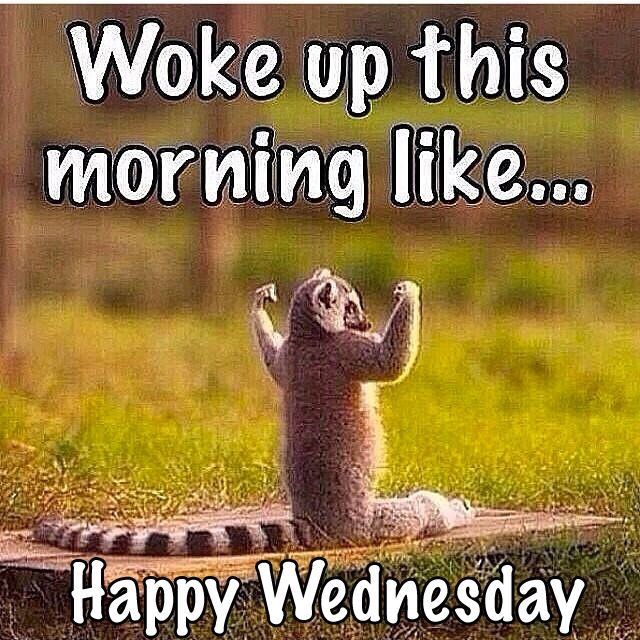310516-Woke-Up-This-Morning-Like....happy-Wednesday.jpg