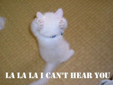 funnycat288.jpg