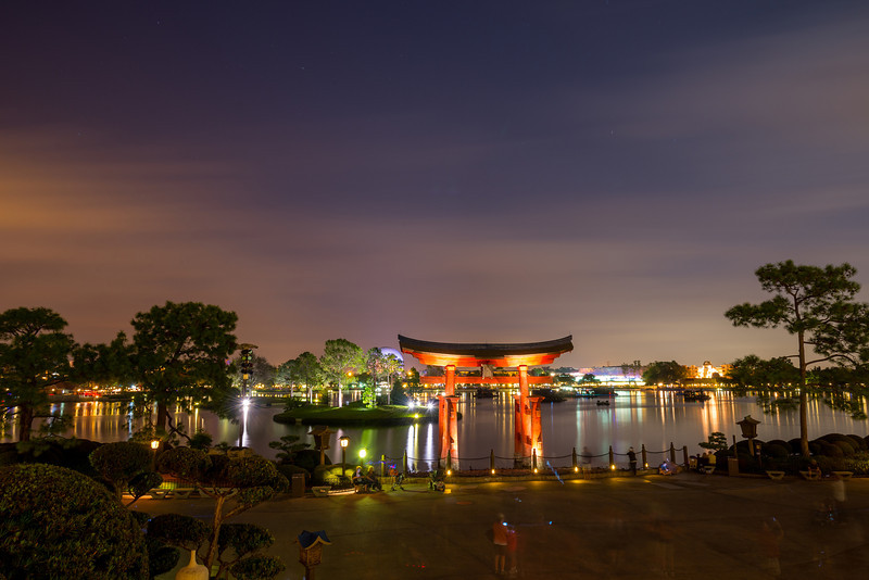 DSC_6225-L.jpg
