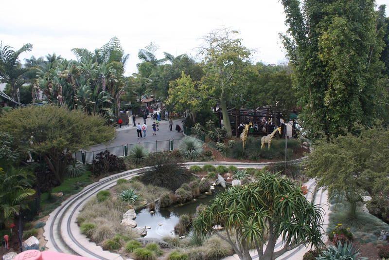 IMG_1315-L.jpg