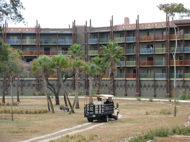 animalkingdomlodge107.jpg