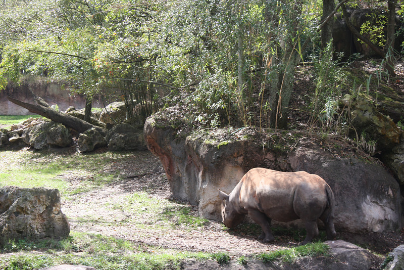 1210953367_zHrpK-L.jpg