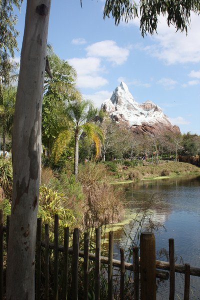 1211121015_ENY8L-L.jpg