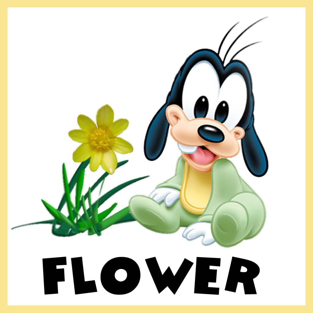 Flower.jpg