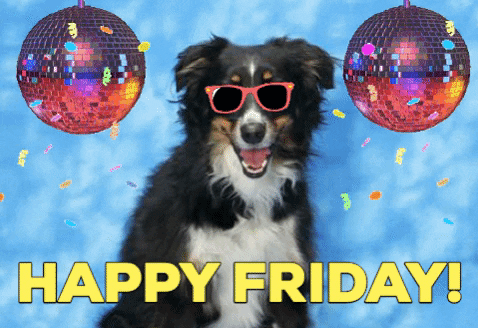 giphy.gif