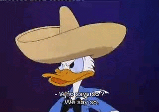 tumblr_lo8aoiN8A51qkj77do1_400.gif
