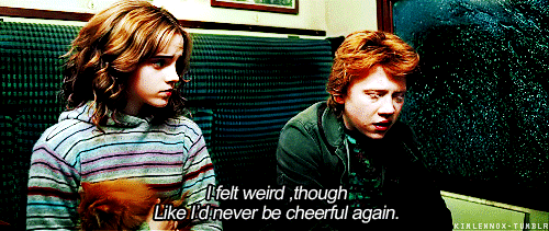 tumblr_loc5k2R5X21qdwjb5o1_r2_500.gif