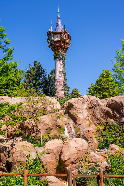 DSC_3086-L.jpg