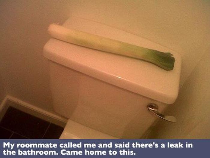 funny-puns-4-8.jpg