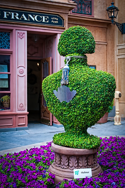 DSC7141-Edit-L.jpg