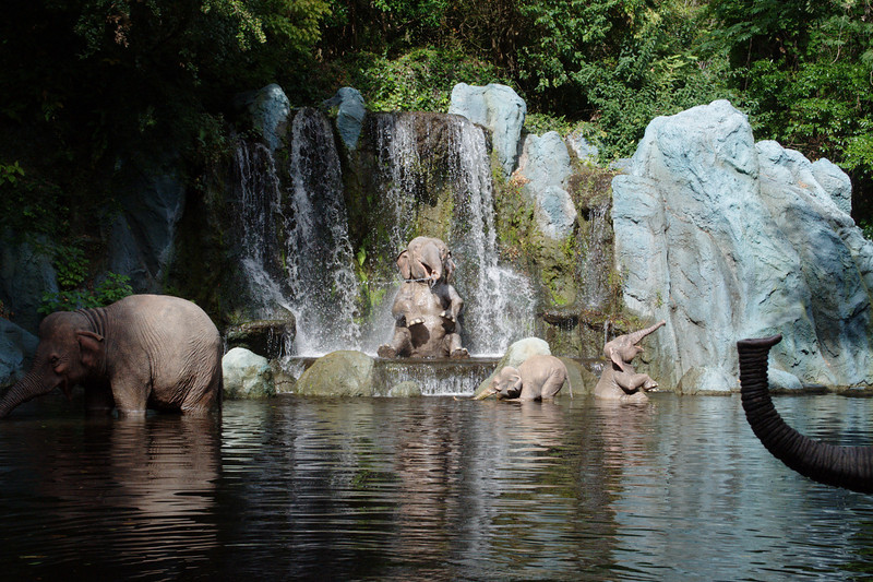 DSC_0602-L.jpg